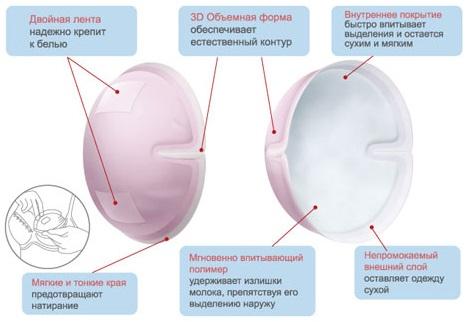 Форма и свойства